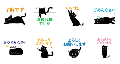 ほっこり猫×TakaShirt