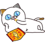 動く！冬のタマ川ヨシ子（猫）第35弾