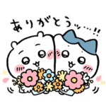 【ついに登場！】ちいかわ×ポインコ