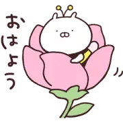 【無料】うさまる × LINE NEWS