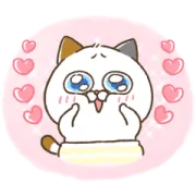 再登場！動く！タマ川ヨシ子（猫）第36弾