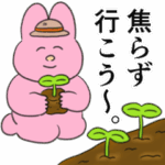 【無料】なおにゃん×NatureBank
